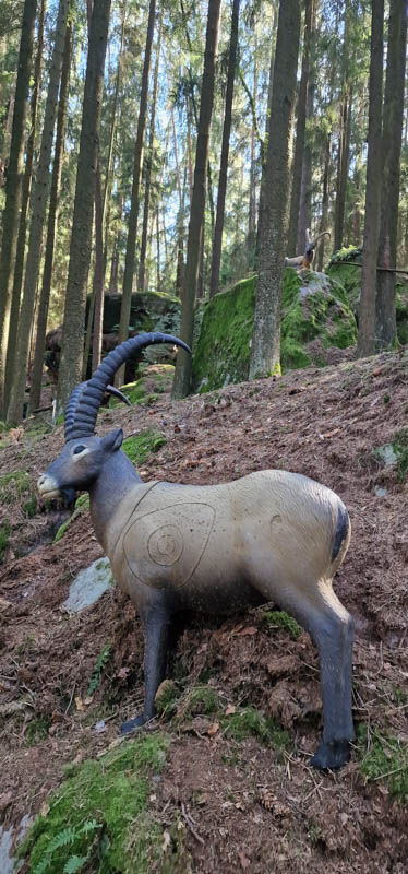 Bowhunters Oberlangenstadt 256-bogenschiessen