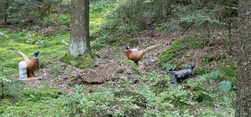Bowhunters Oberlangenstadt 257-bogenschiessen