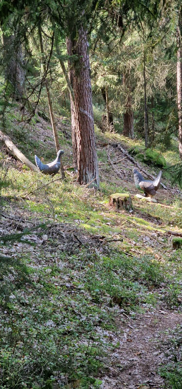 Bowhunters Oberlangenstadt 259-bogenschiessen