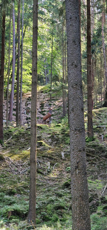 Bowhunters Oberlangenstadt 262-bogenschiessen