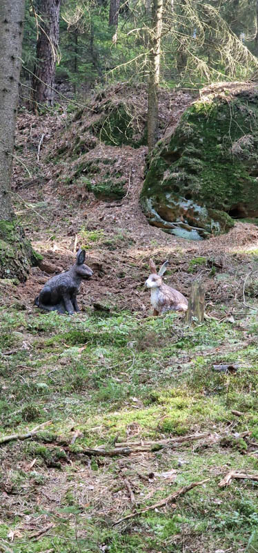 Bowhunters Oberlangenstadt 266-bogenschiessen