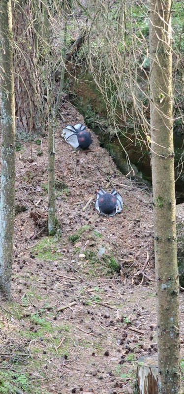 Bowhunters Oberlangenstadt 268-bogenschiessen