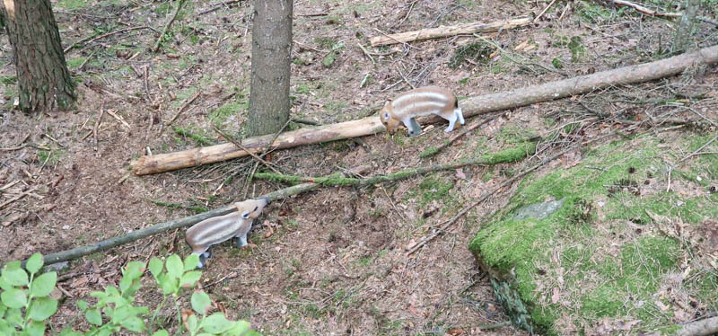 Bowhunters Oberlangenstadt 271-bogenschiessen