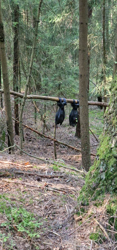 Bowhunters Oberlangenstadt 272-bogenschiessen