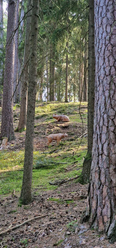 Bowhunters Oberlangenstadt 273-bogenschiessen