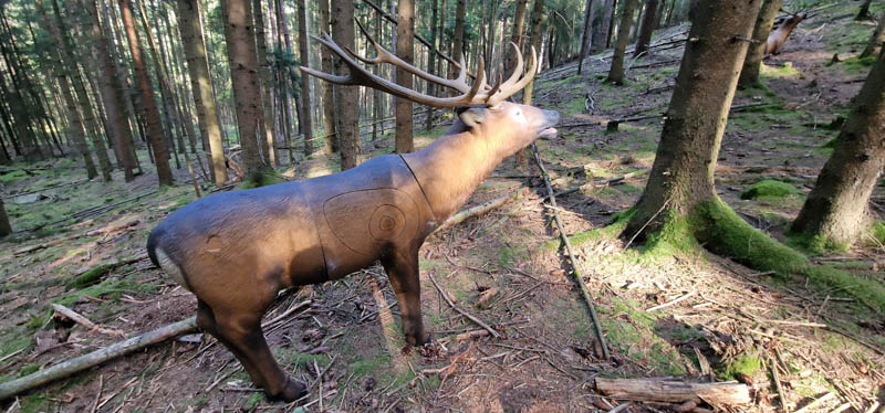Bowhunters Oberlangenstadt 276-bogenschiessen