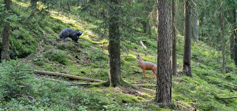 Bowhunters Oberlangenstadt 278-bogenschiessen