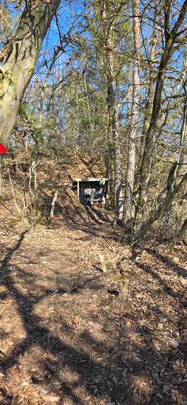 Treuchtlingen 800er 016-bogenschiessen