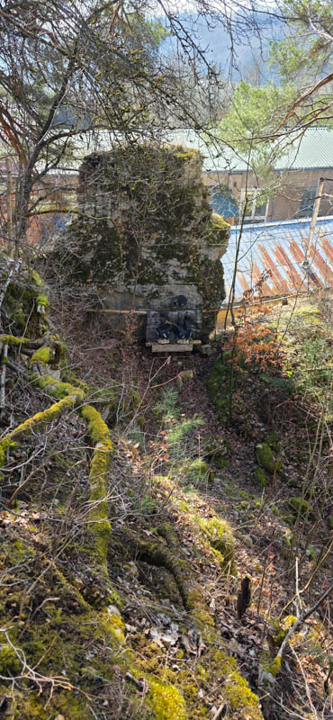 Treuchtlingen 800er 019-bogenschiessen