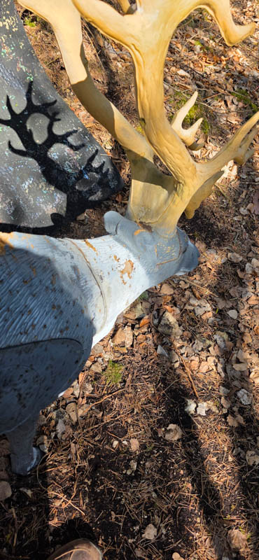 Treuchtlingen 800er 025-bogenschiessen