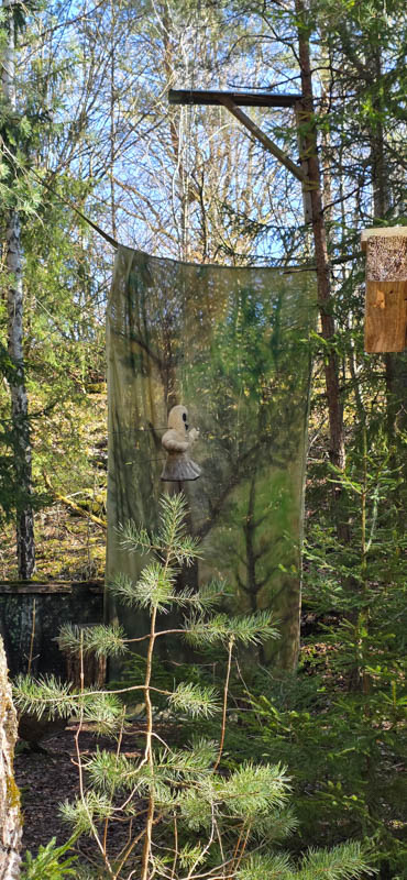 Treuchtlingen 800er 029-bogenschiessen