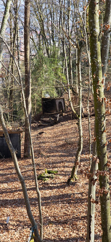 Treuchtlingen 800er 032-bogenschiessen