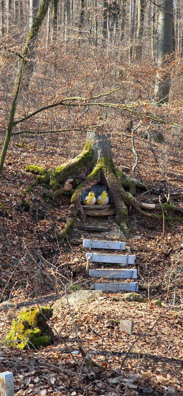 Treuchtlingen 800er 035-bogenschiessen