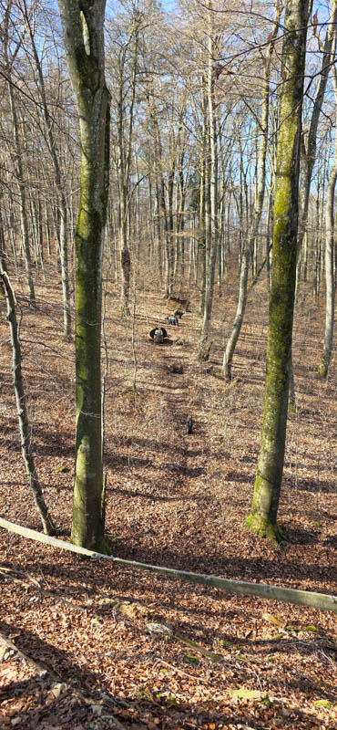 Treuchtlingen 800er 038-bogenschiessen