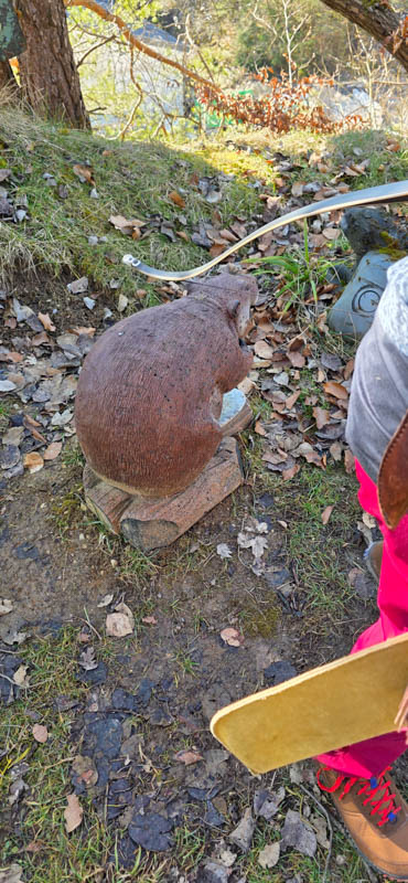 Treuchtlingen 800er 043-bogenschiessen