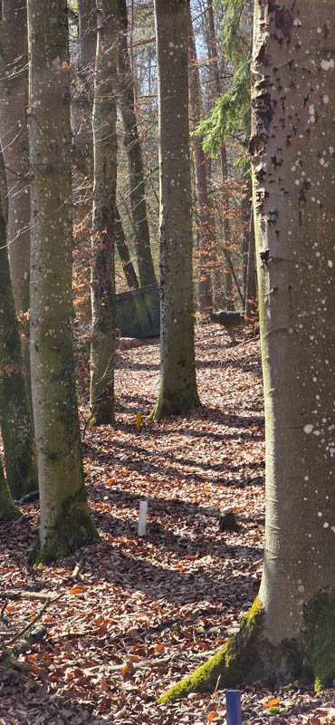 Treuchtlingen 800er 060-bogenschiessen