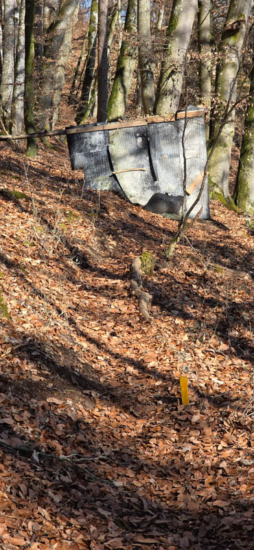 Treuchtlingen 800er 064-bogenschiessen