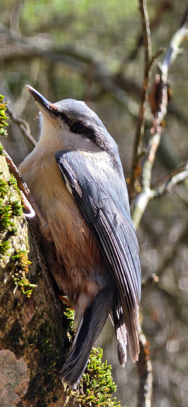 Treuchtlingen 800er 066-bogenschiessen
