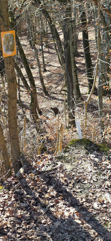 Treuchtlingen 800er 069-bogenschiessen